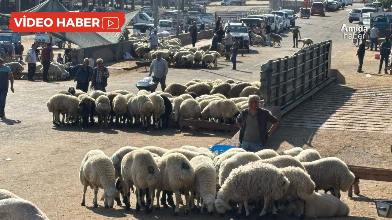 Fırsatçılar Diyarbakır’da iş başında: Bir günde 250 TL zam!