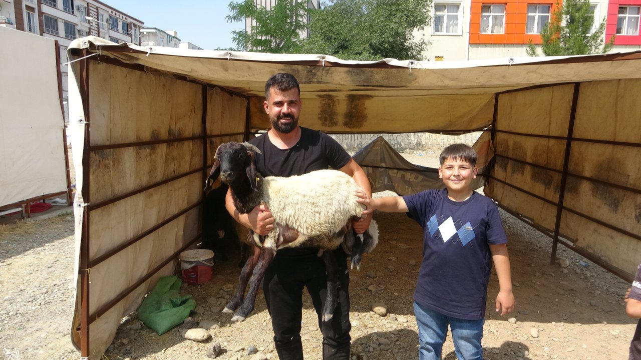 Batman'da kurbanlık satışlarında yoğunluk sürüyor