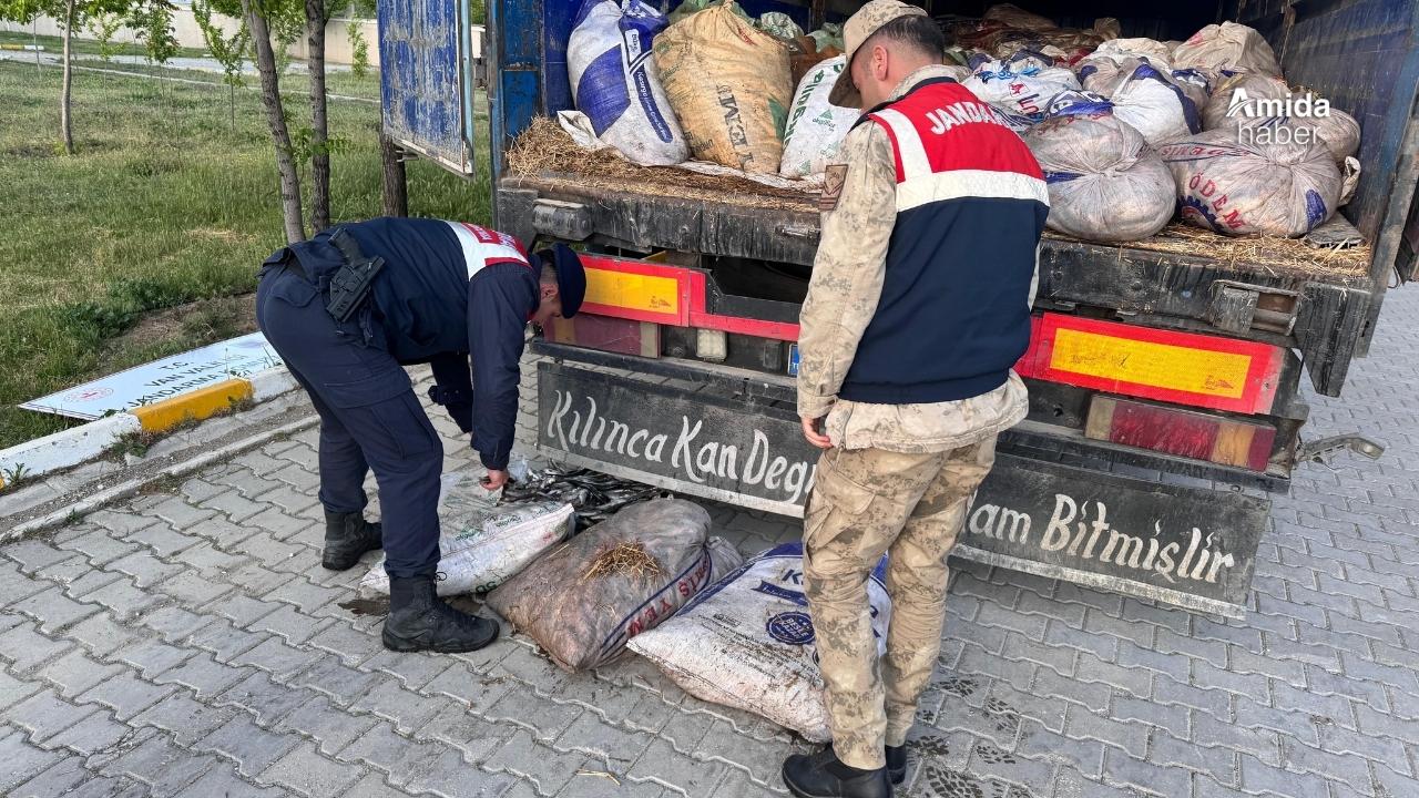 Van’da 19 ton 200 kilo kaçak avlanmış balık ele geçirildi