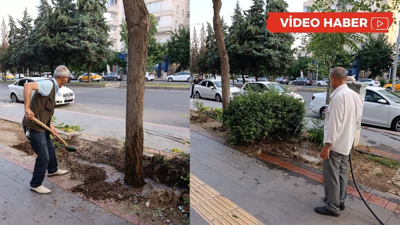 Diyarbakır’da bina sakinleri ağaçlar için harekete geçti