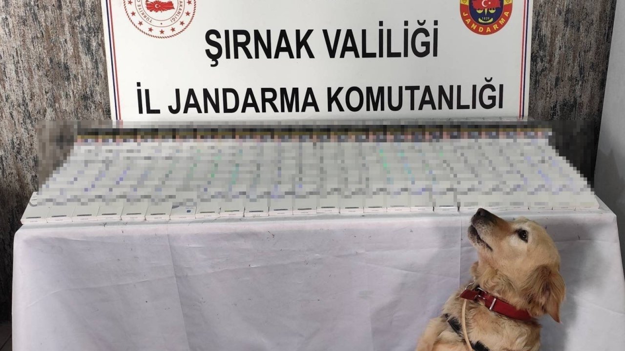 Şırnak’ta kaçak malzeme ele geçirildi
