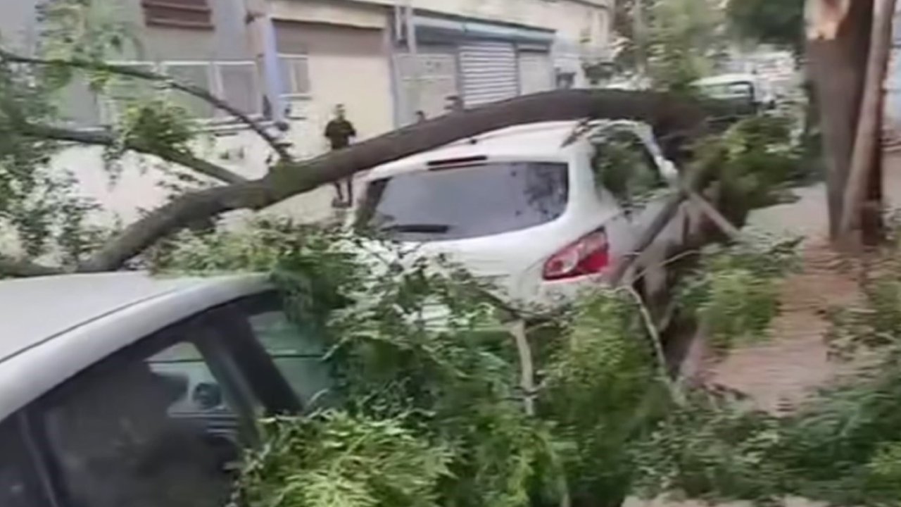 Gaziantep'te şiddetli fırtına: Ağaçlar devrildi