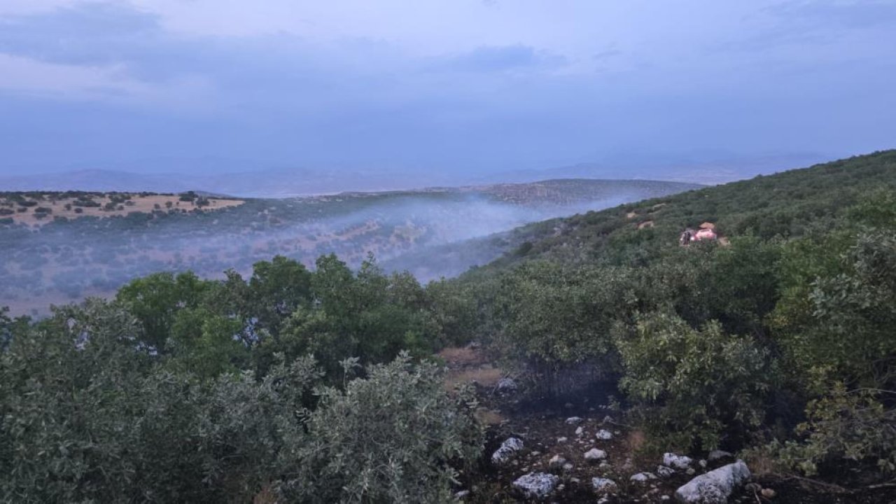 Diyarbakır’da ormanlık alanda alevler yükseldi