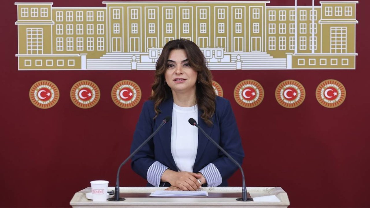 Gülistan Koçyiğit: Siyasi partiler İmralı’ya gitsin