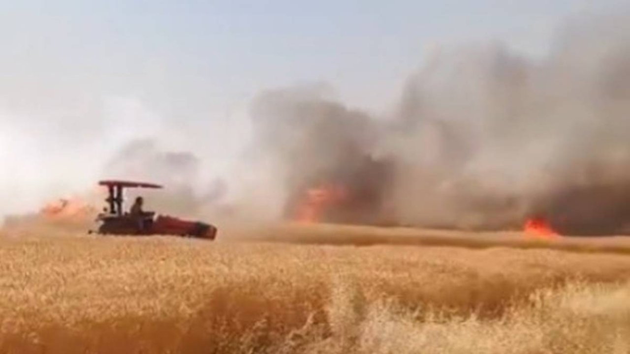 Şanlıurfa’da 170 dönümlük tarla yangından zarar gördü