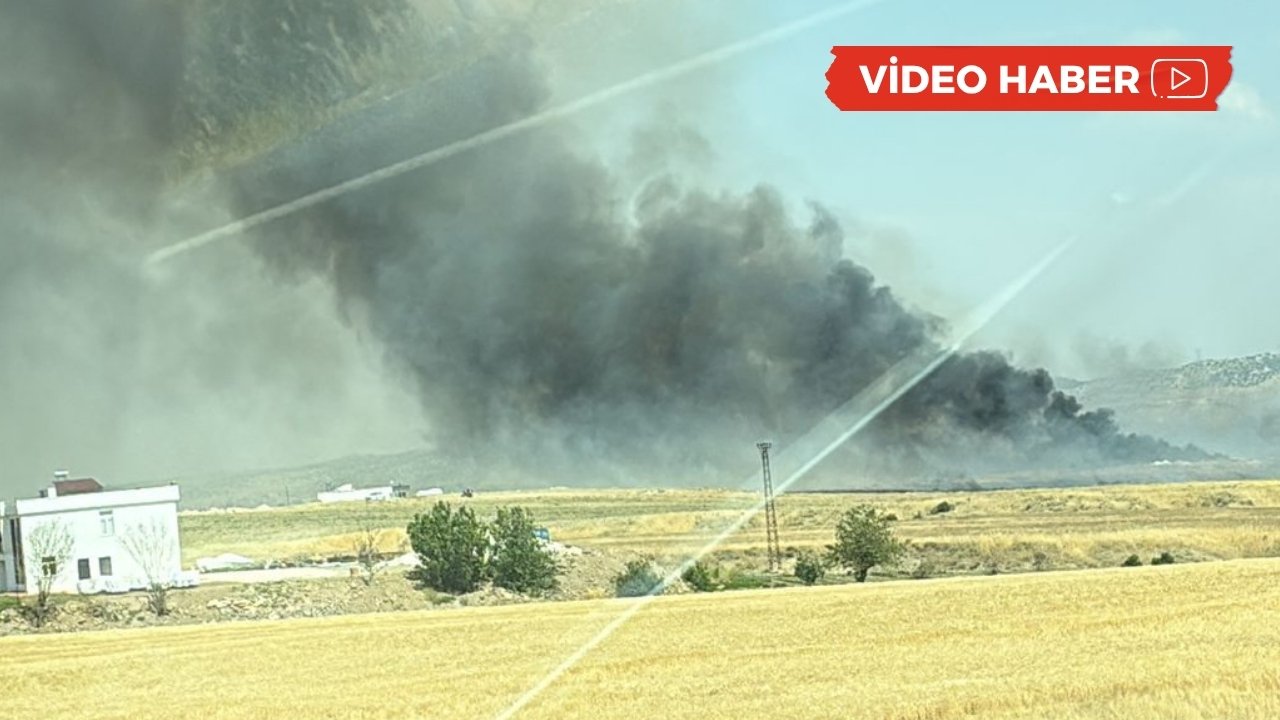 Ergani çöp sahasında yangın: 200 dönüm kül oldu