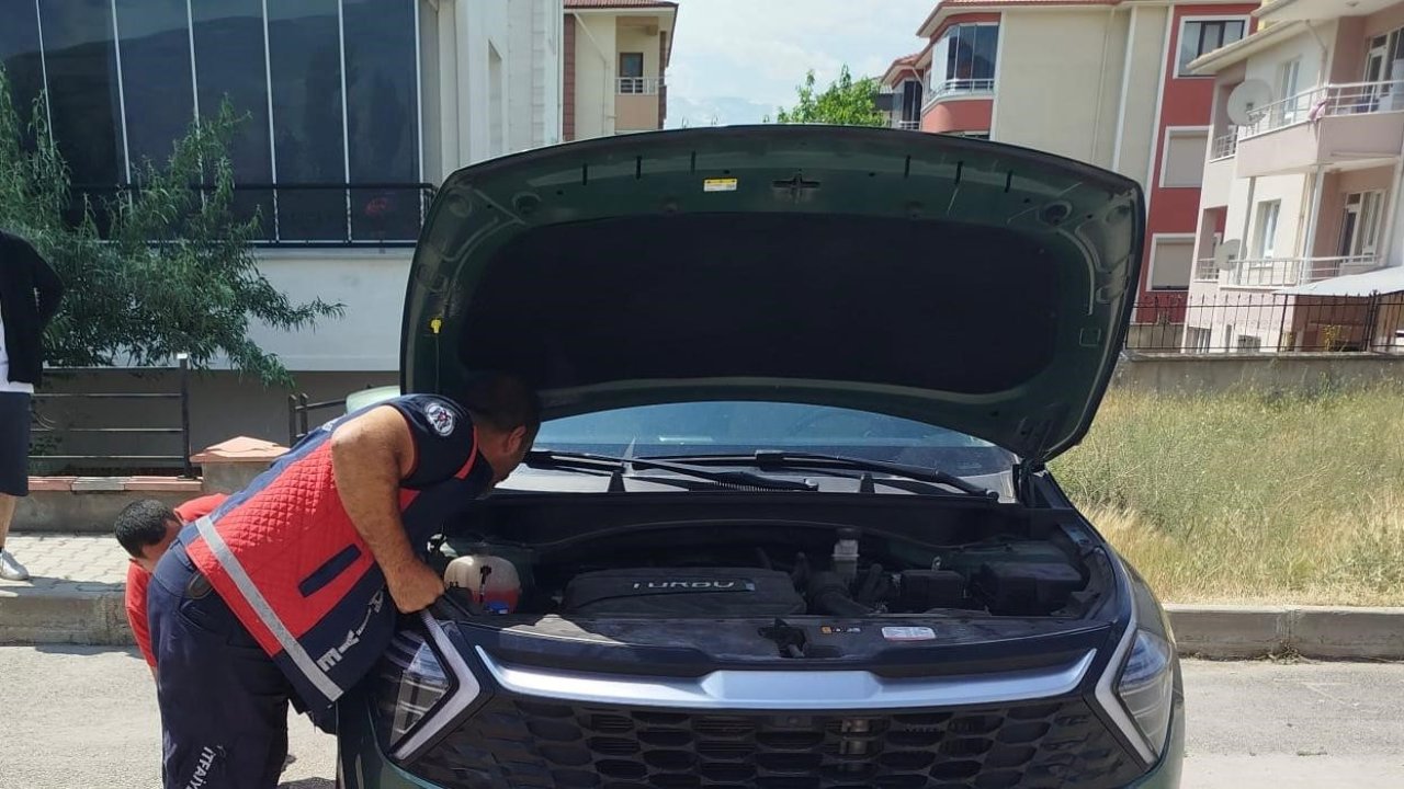 Yavru kediler otomobilin kaputundan çıkarıldı