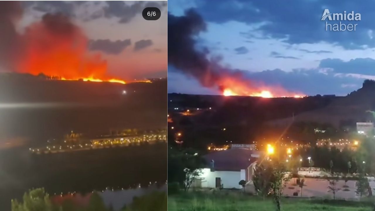 Diyarbakır'da yangın korkuttu: On Gözlü Köprü yakınında alevler