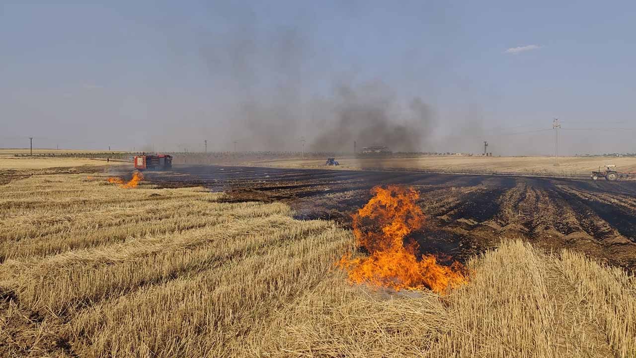 Mardin’de çıkan anız ve orman yangınları kontrol altına alındı