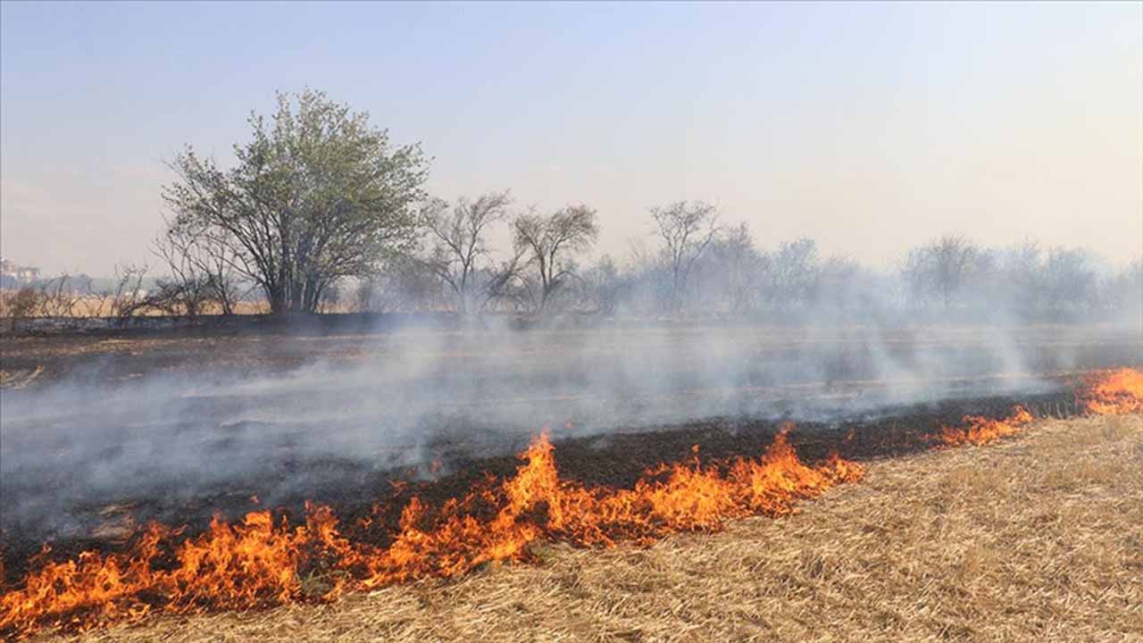 Diyarbakır’da yangına karşı işbirliği: 4 kurum var