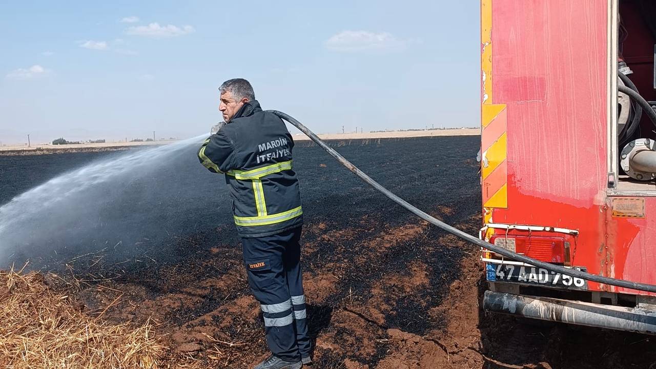 Mardin’in ilçesinde 400 dekar buğday tarlası kül oldu