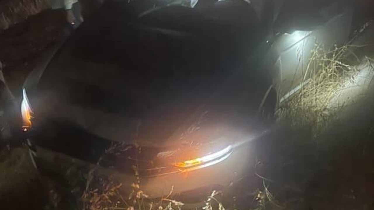 Diyarbakır’da yola çıkan köpek kazaya neden oldu: 2 yaralı