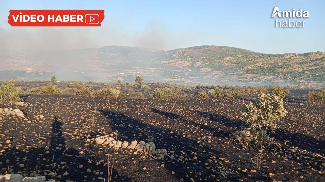 Diyarbakır'da yangın paniği: Köylere yaklaşıyor