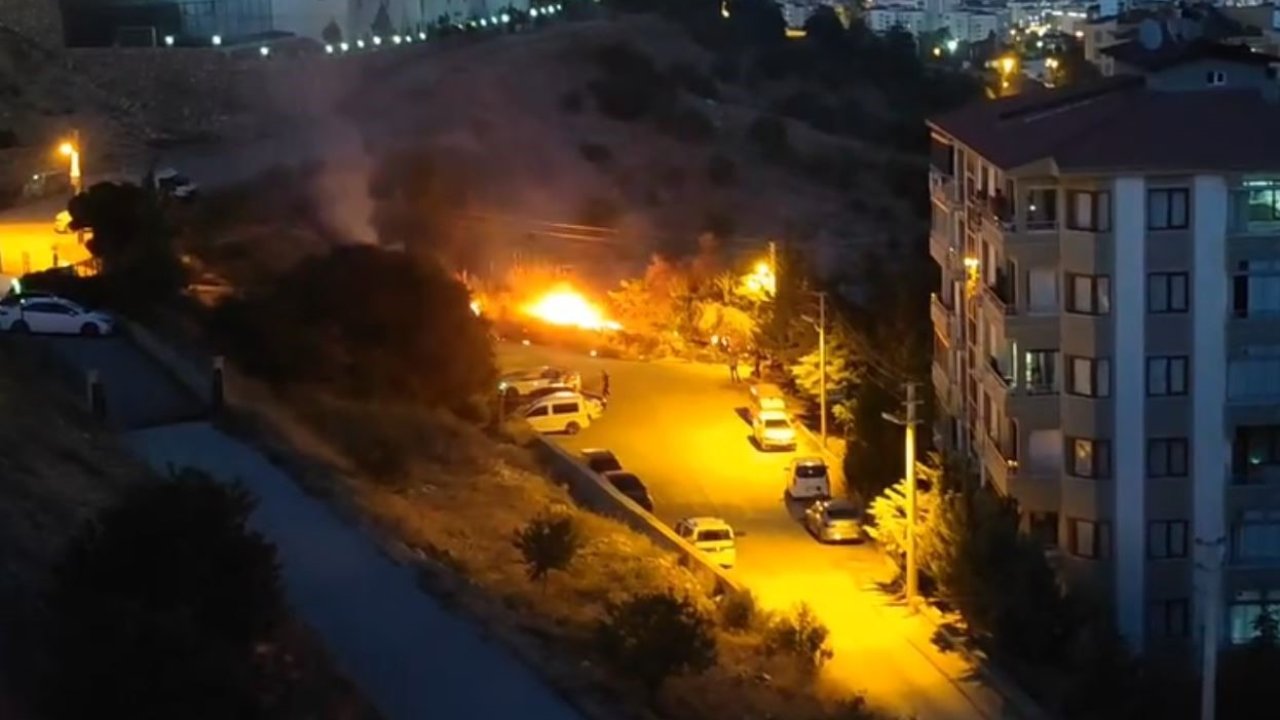 Elazığ’da ot yangını