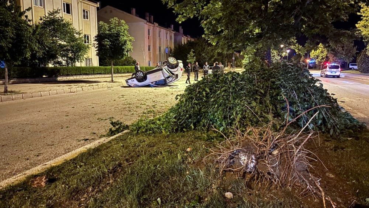 Otomobilin çarpmasıyla ağaç kökünden söküldü: 3 yaralı