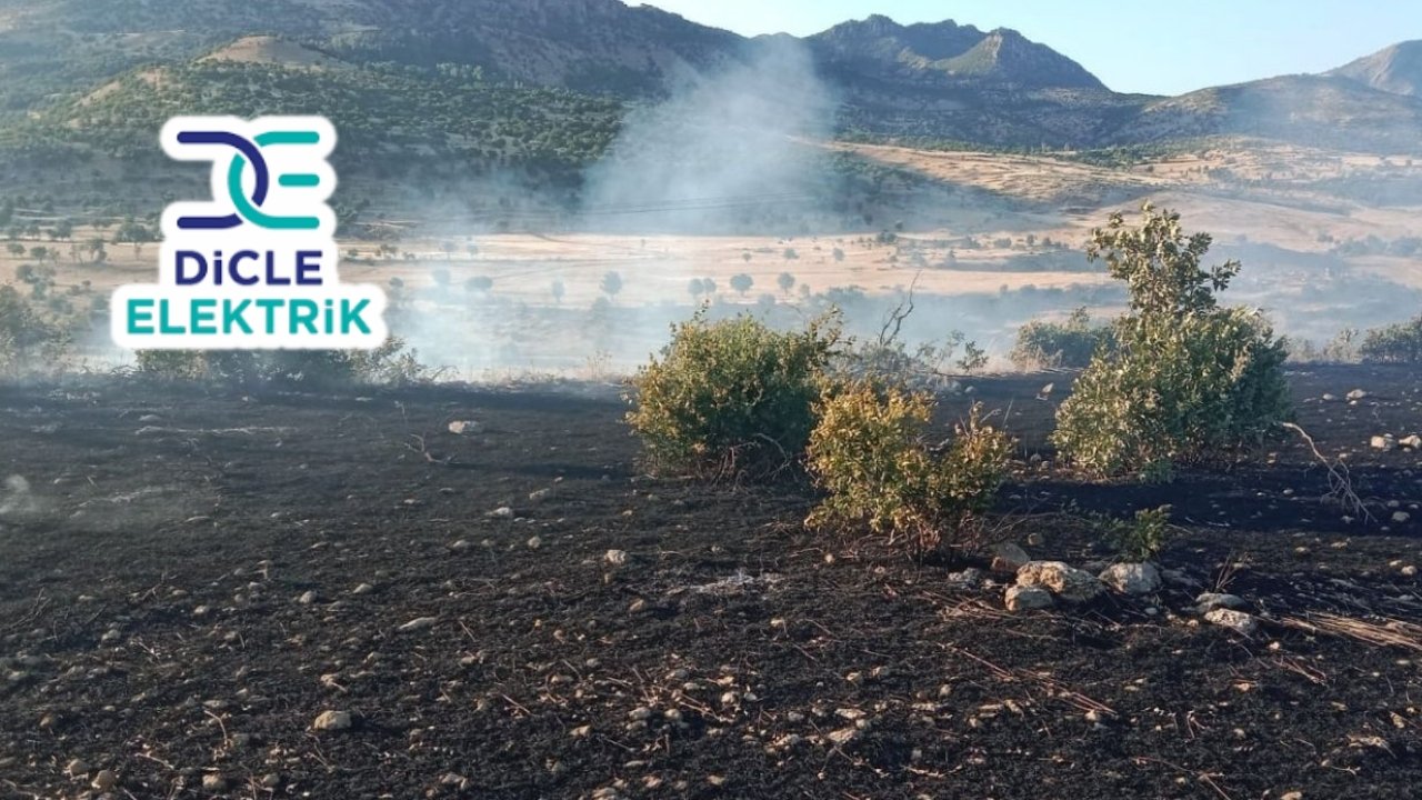 Diyarbakır’daki mahkemeden Dicle Elektrik kararı
