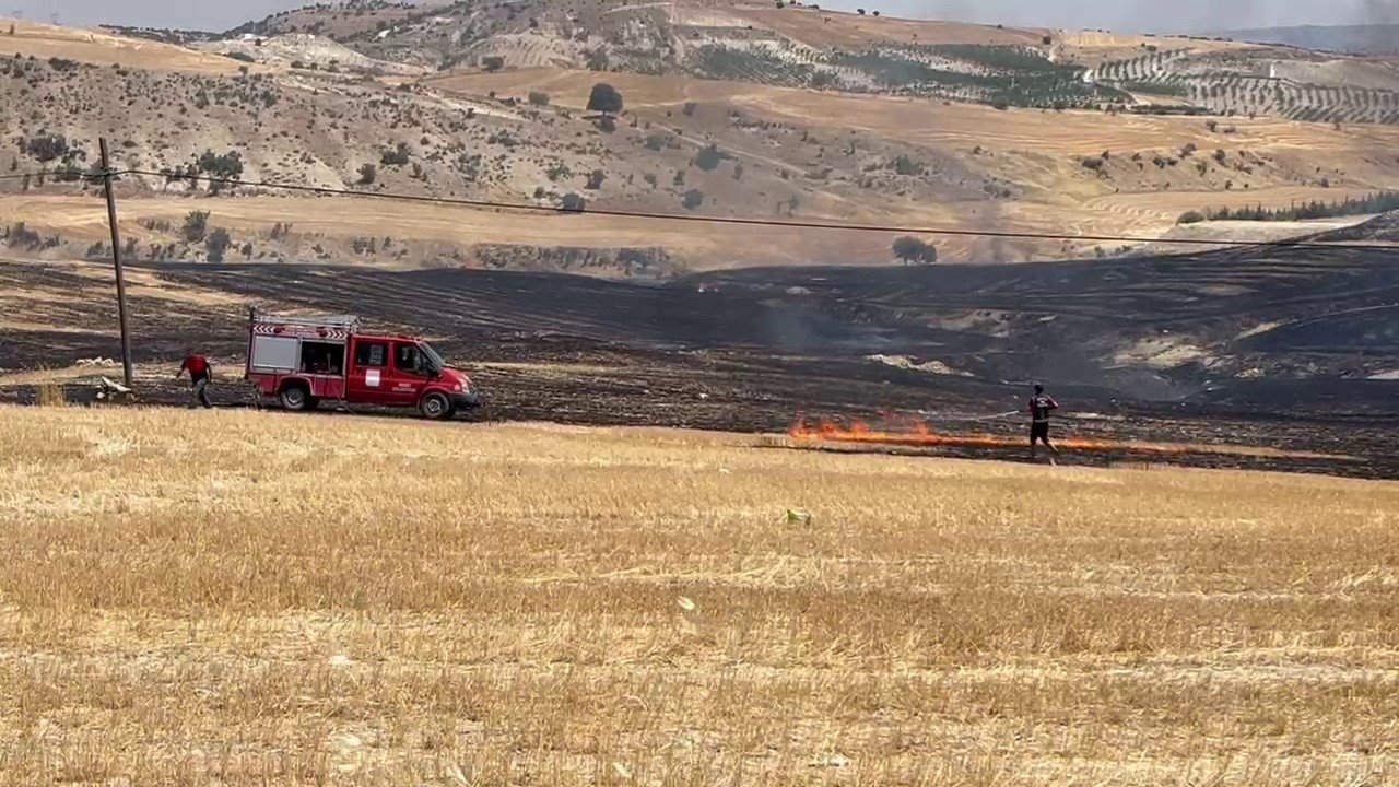 Adıyaman'da anız yangını korkuttu