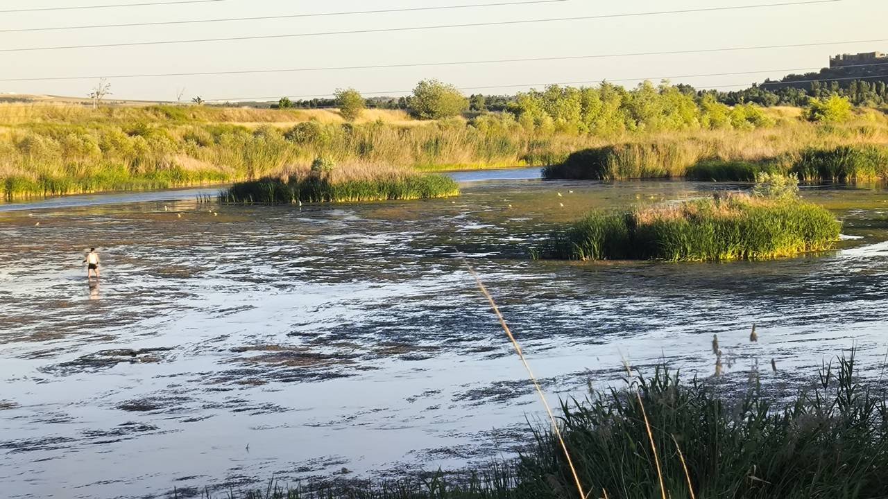Dicle can çekişiyor: 10 santime düştü
