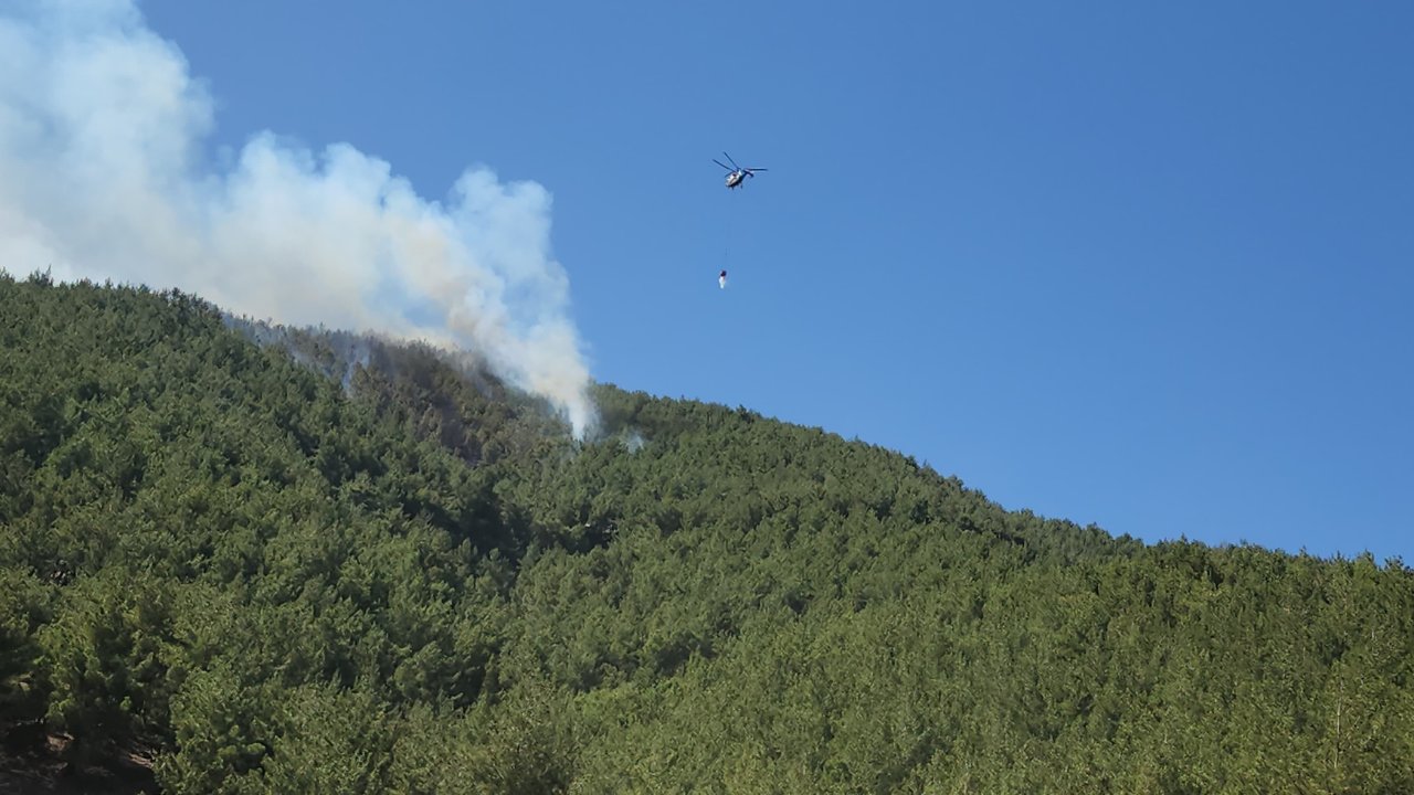 Hatay'da orman yangını kontrol altına alındı