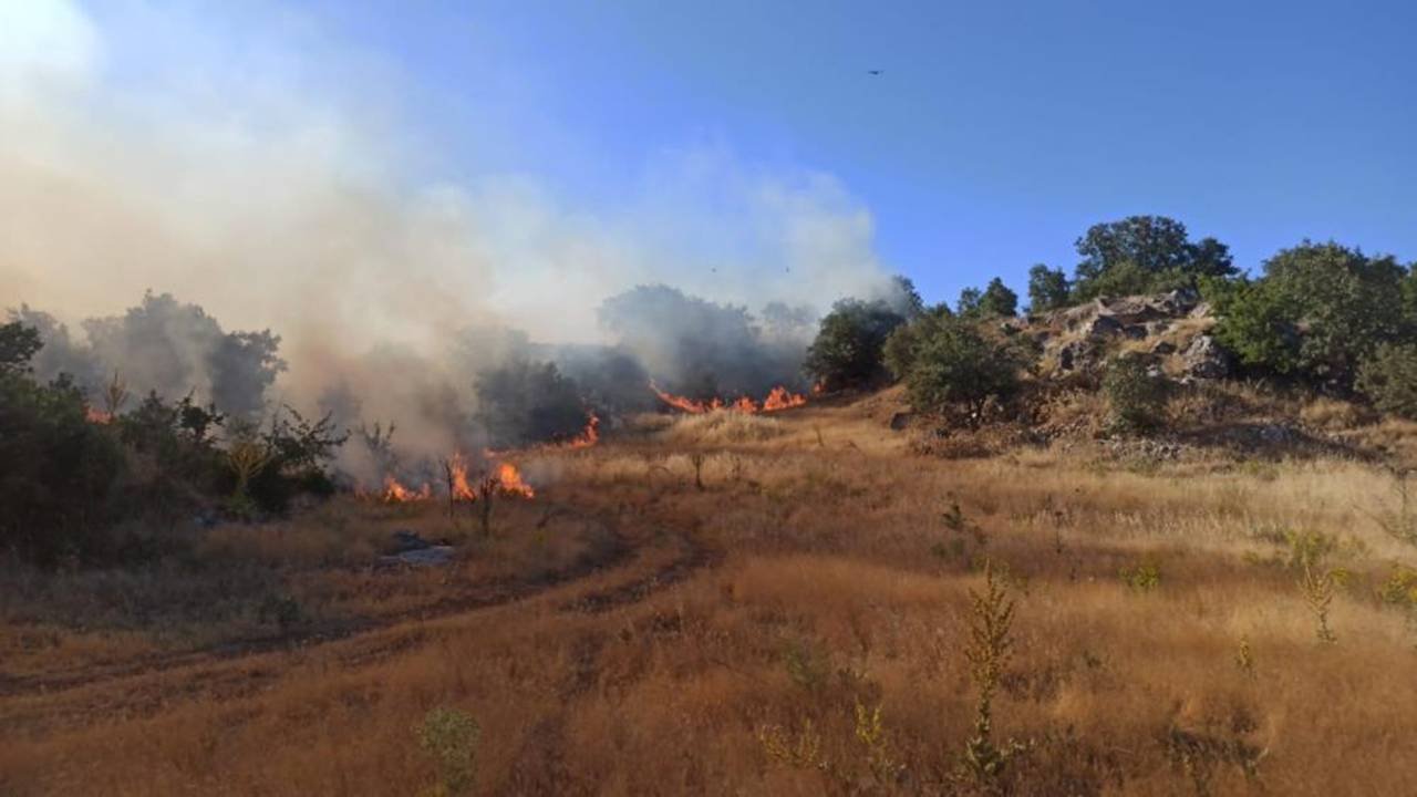 Adıyaman’da orman yangını: Soruşturma başlatıldı