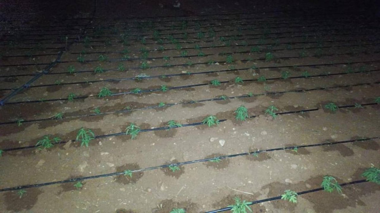 Diyarbakır’da damlama sistemi ile uyuşturucu