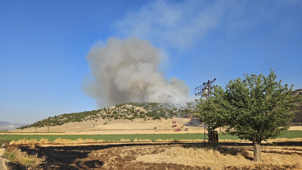 Anız yakan kişi Gaziantep'te cezadan kaçamadı