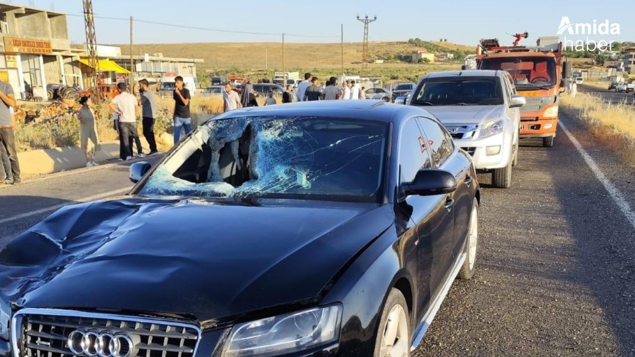 Diyarbakır-Bingöl karayolunda kaza: 1 ölü, 1 yaralı