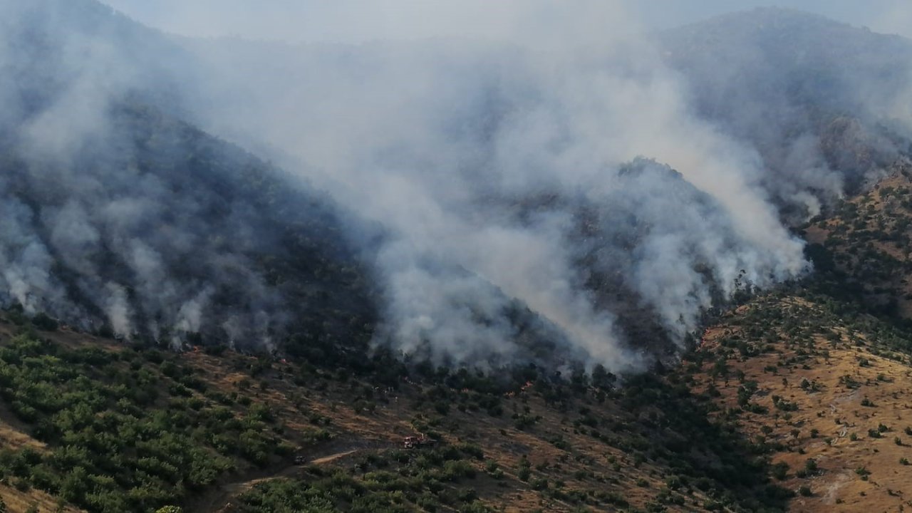 Kahramanmaraş'ta alevlerle mücadele devam ediyor