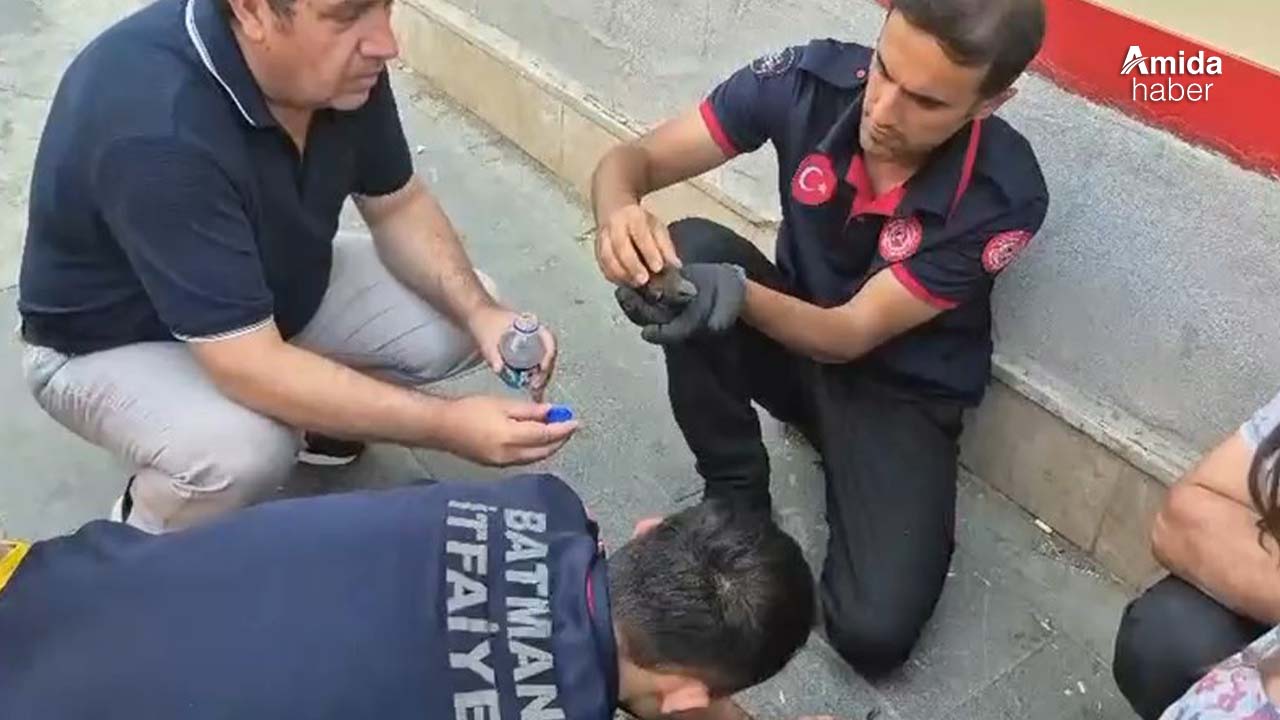 Batman’da duvardaki oyukta sıkışan ebabil kuşları kurtarıldı