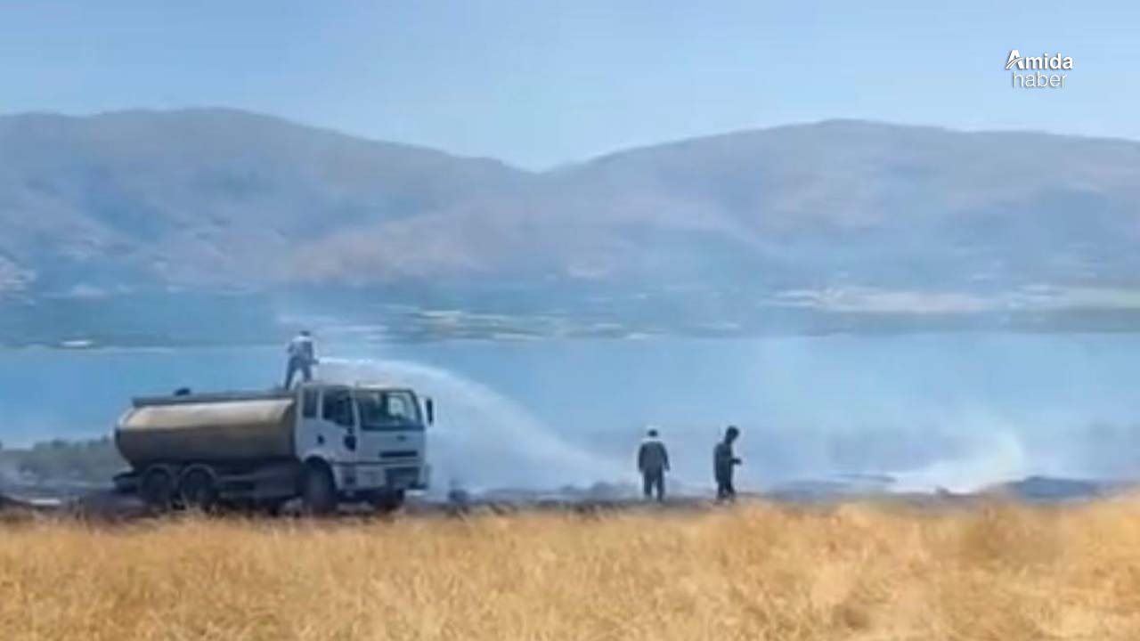 Elazığ’da otluk alanda yangın