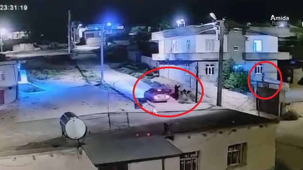 Diyarbakır'da kız kaçırma kavgası: Annenin vurulma anı