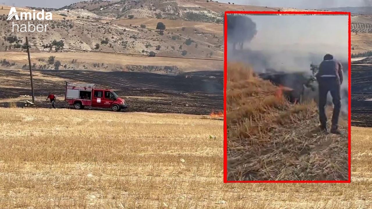 Diyarbakır'da çiftçinin umudu yandı: Buğday tarlaları kül oldu