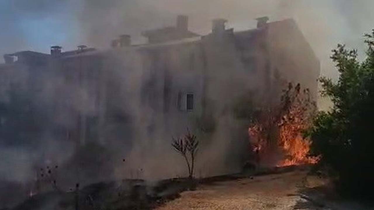 Adıyaman’da ağaçlar cayır cayır yandı