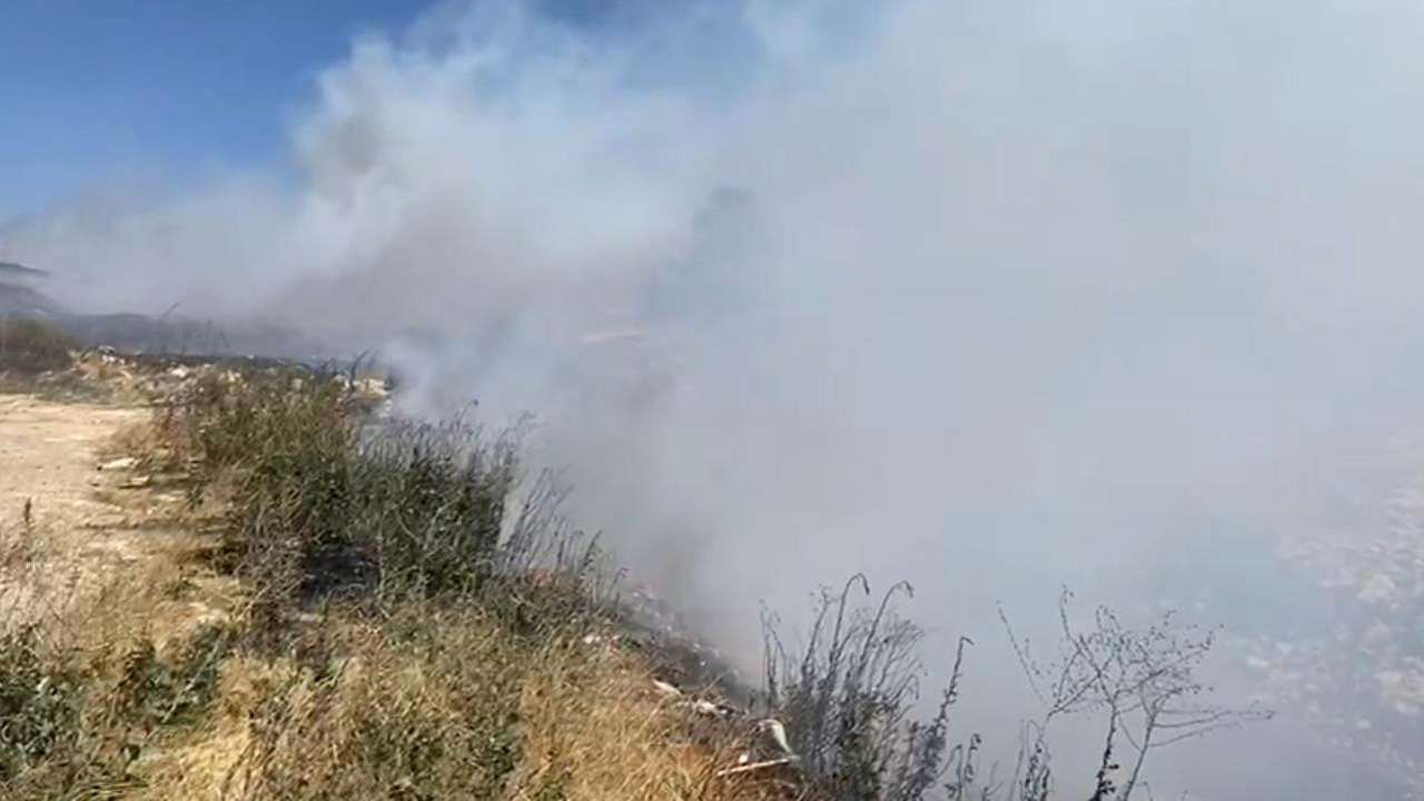 Mersin'de orman yangını