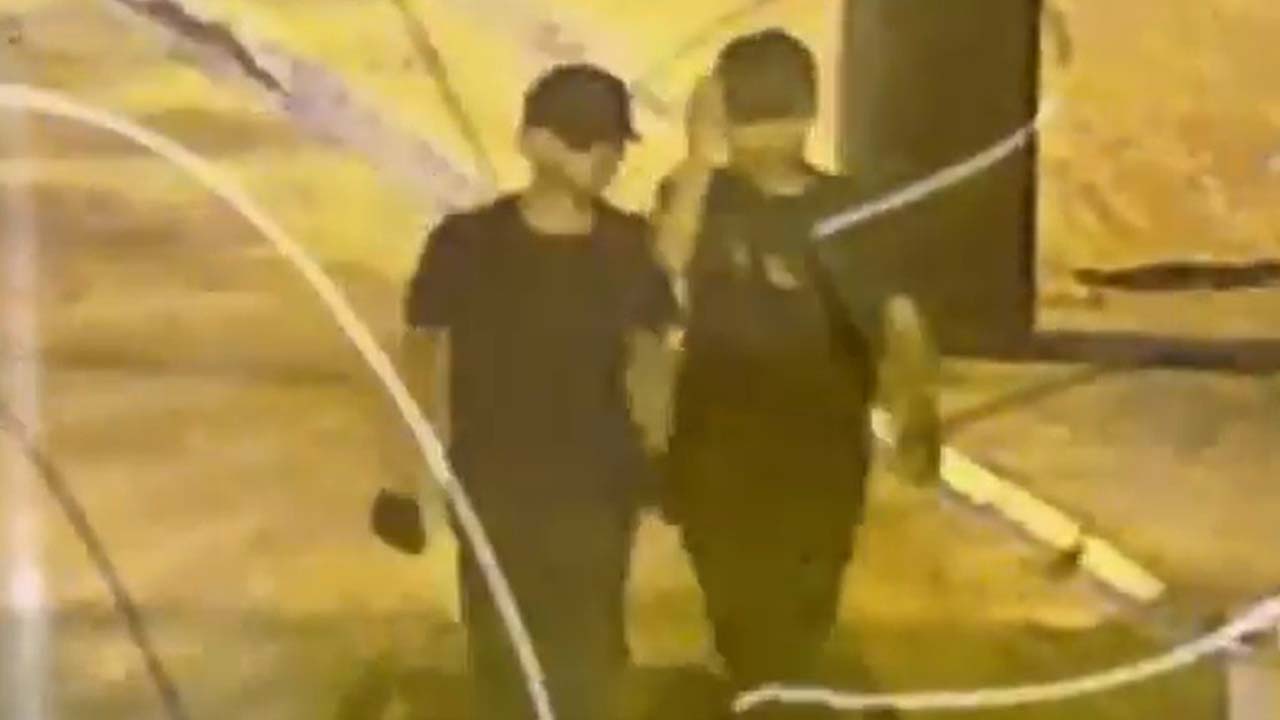 Bingöl'de 2 hırsızlık şüphelisi yakalandı