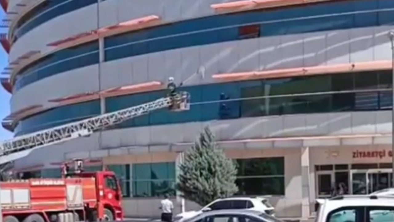 Hastanenin dış cephesinde mahsur kalan kedi kurtarıldı