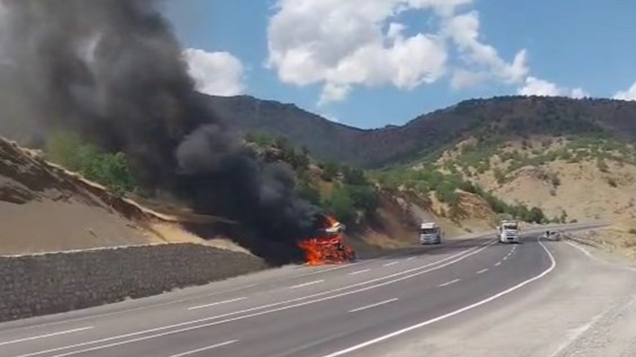 Bingöl'de seyir halindeki tır alev aldı