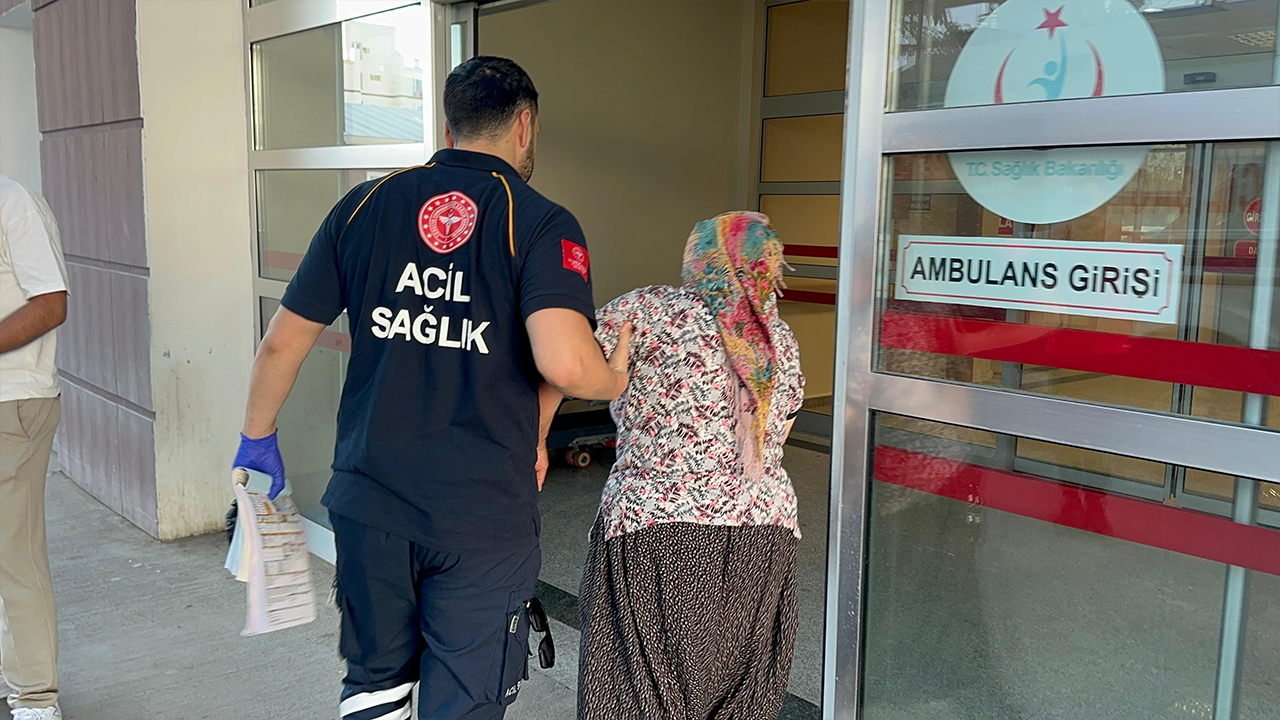Adıyaman’da yılanın ısırdığı kadın hastaneye kaldırıldı