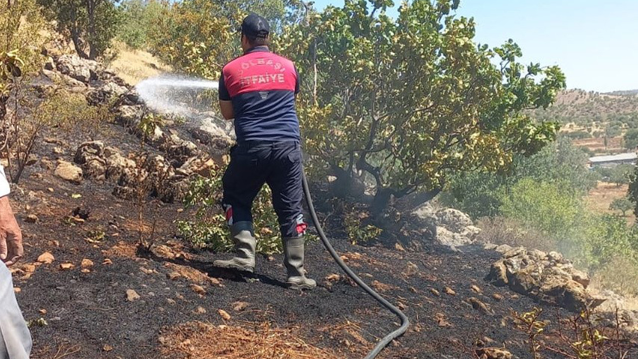 Adıyaman’da ormanlık alan yandı