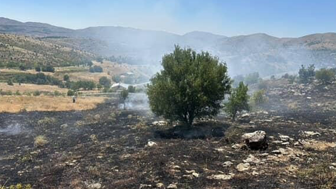 Elazığ’da otluk alanda çıkan yangın kontrol altına alındı