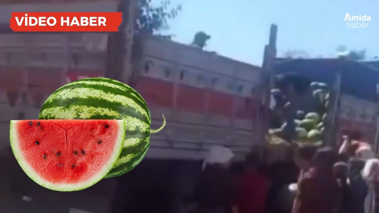 Diyarbakır’da karpuz izdihamı: Duyan oraya koştu