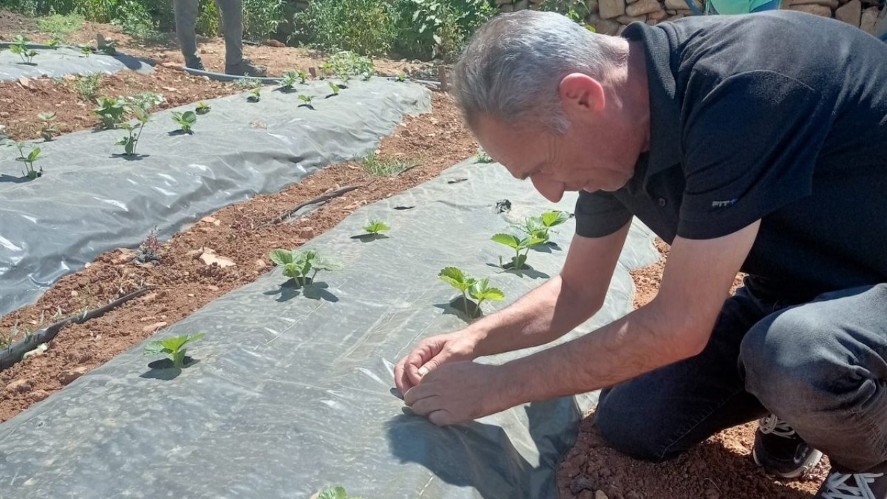 Bitkisel üretimde mücadele: Siirt'te takip devam ediyor