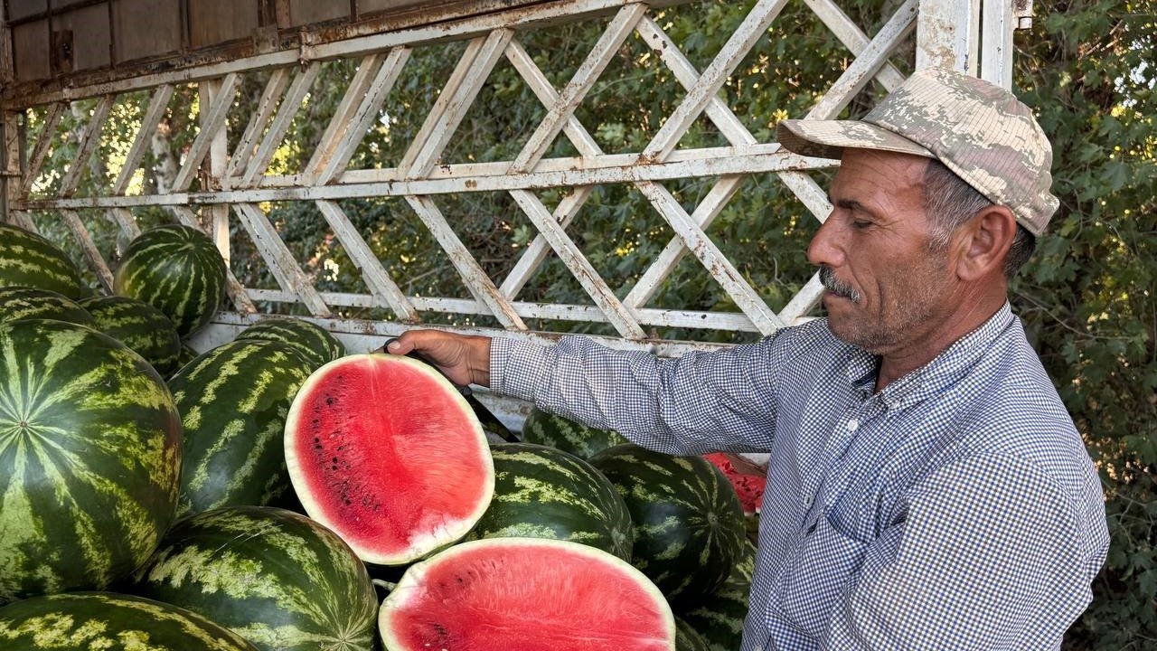 Karpuzda fiyatlar dibe vurdu: 15 kilo 2 lira