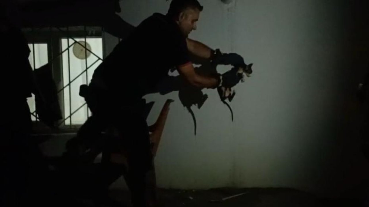 Gider borusuna sıkışan kedinin imdadına itfaiye yetişti
