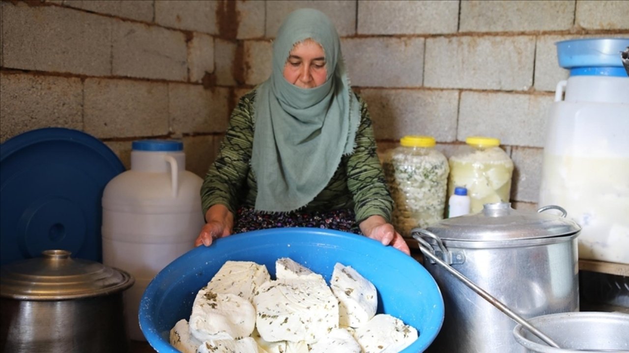 Vanlı besiciler: Mayamızın sırrını kimseye vermiyoruz