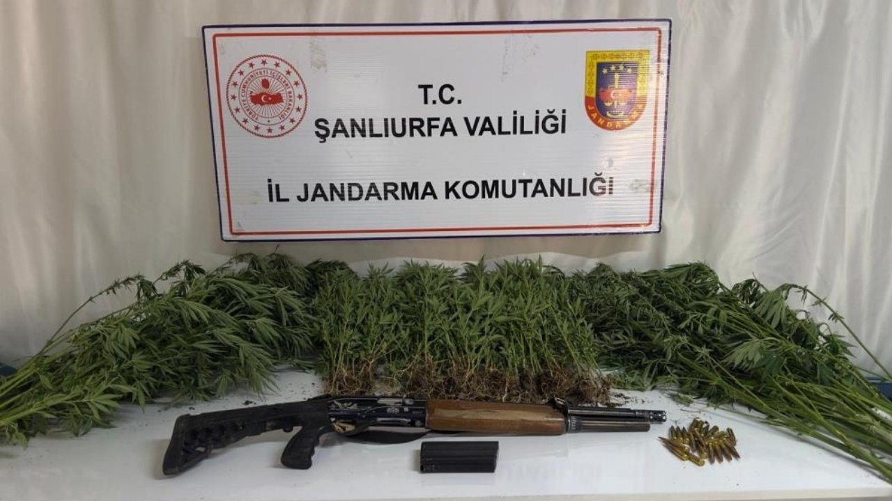 Şanlıurfa’da eş zamanlı uyuşturucu operasyonu