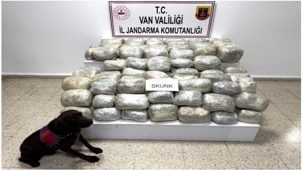 Van'da uyuşturucu operasyonu: 70 kilo skunk yakalandı