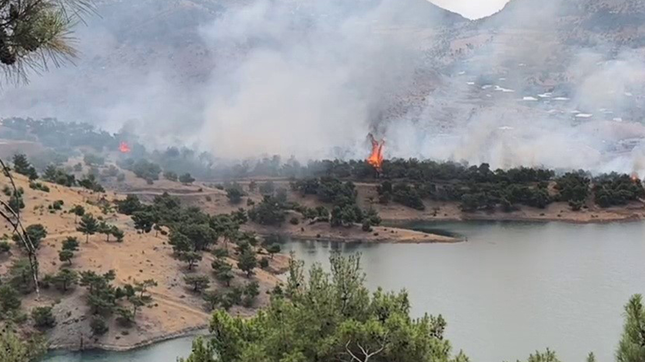 Adıyaman’da ormanlık alanda çıkan yangın korkuttu