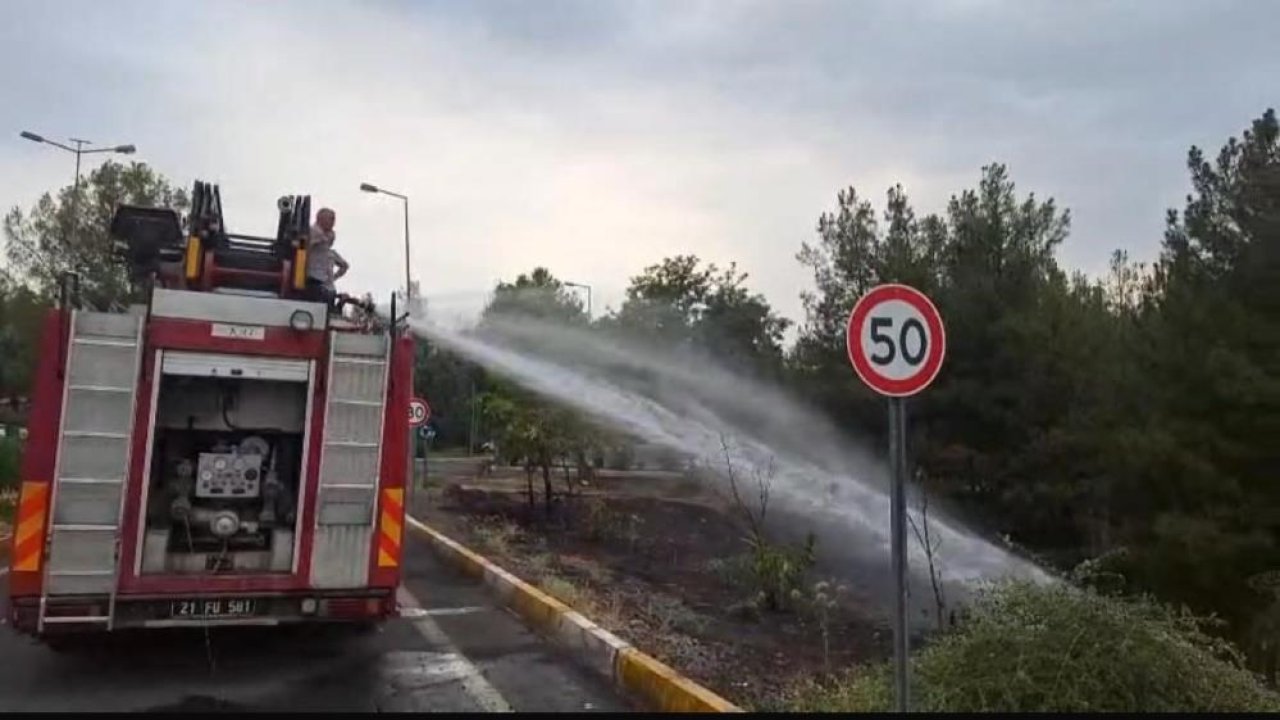 Diyarbakır'da ağaçlık alanda yangın