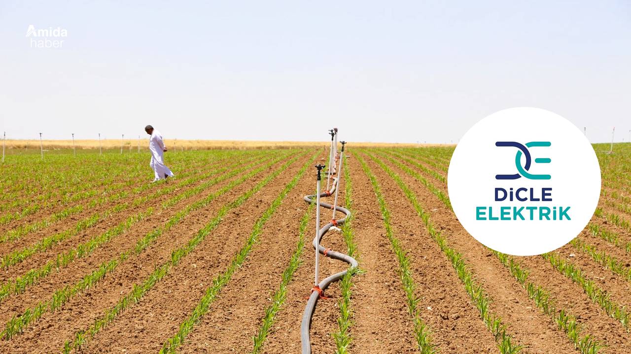Dicle Elektrik’ten mısır uyarısı: Kesinti kaçınılmaz